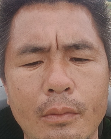 打狗傅香